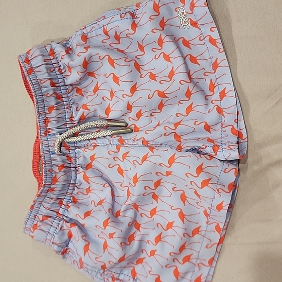Other - Flamingo toddler swim trunks